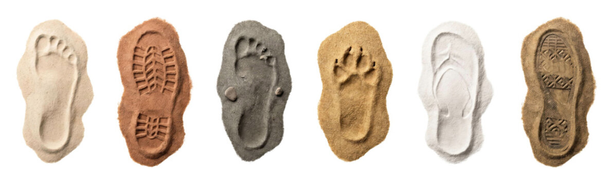 Various human and animal footprints imprinted in different colored sand, including a bare foot, boot sole, paw, and shoe prints, are arranged in a neat horizontal row