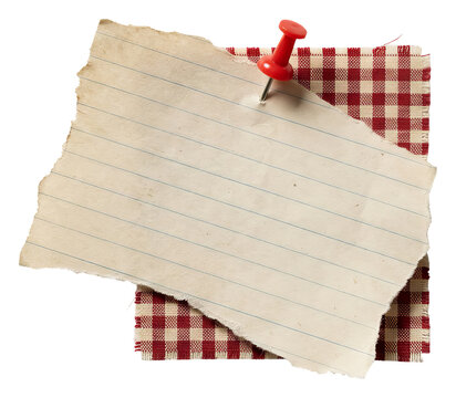 Torn Lined Paper Pinned to Gingham Fabric.