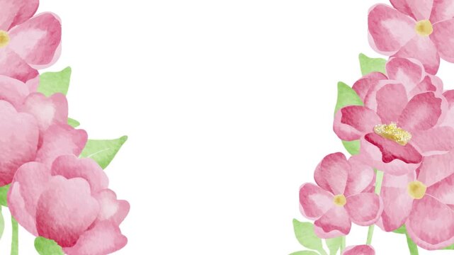 flower pink tulip border motion videos