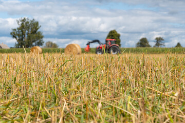 Red tractor working in a harvested agricultural field, farm machinery for farming and crop production under dramatic cloudy sky © Iryna