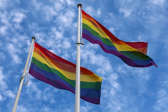 Rainbow flags flying high, symbolizing LGBTQ plus Pride, diversity, and equality under a blue sky