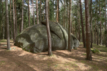 Large granite boulder near Zihle © Milan