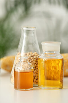 Biofuel and renewable energy research, plant-based oil and soybeans in laboratory glassware for sustainable development
