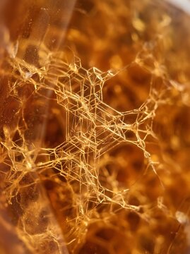 Translucent amber solid-state electrolyte membrane with crystalline lattice