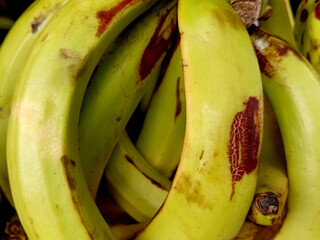 Close Up of Fresh Green Plantains © Grafisqueen