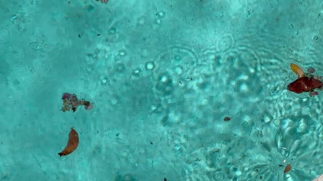 Clear underwater swimming pool 