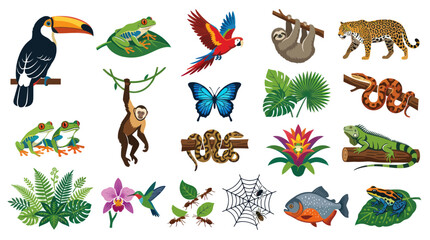 Fototapeta premium Jungle Wildlife and Tropical Flora Flat Vector Illustration Collection