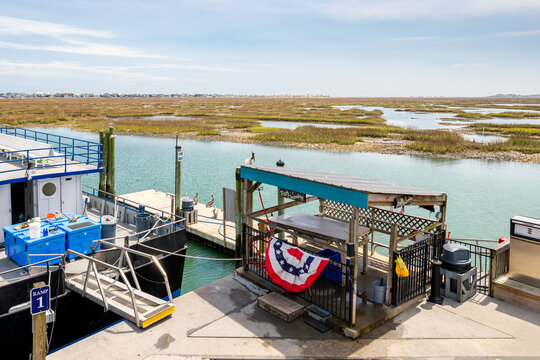 Brown pelicans lounge at a fish cleaning station along the coast of the historic Marshwalk with the tranquil saltwater estaury and salt marshes in view in Murrells Inlet, South Carolina.