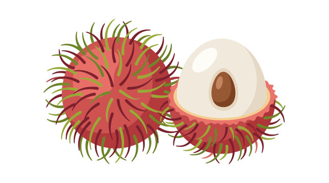 Fresh Rambutan Fruit Illustration Isolated on Transparent Background