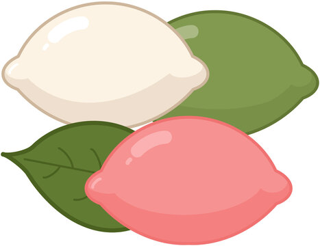 vector illustration of an apple