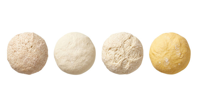 Assortment of fresh round bread dough balls in different fermentation stages