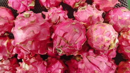 Obraz premium Fresh Dragon Fruit Dragonfruit Bunches Bright Pink