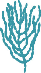 Coral reef underwater flora blue seaweed algae © Vector Tradition