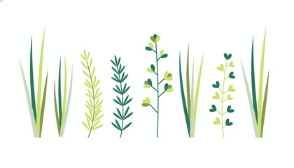 Fototapeta premium Series of green plants and wild grasses including various leaf textures and stems arranged on a simple white studio background.