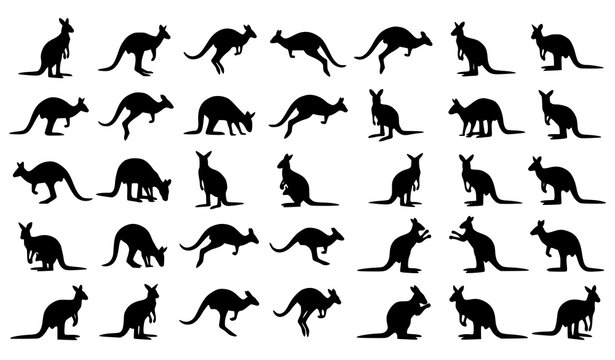 Kangaroo silhouette vector collection with jumping running standing and wildlife poses