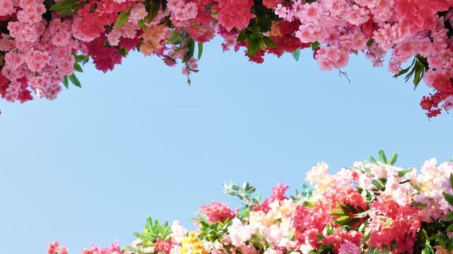 Colorful spring flowers blooming creating a vibrant frame against a clear blue sky