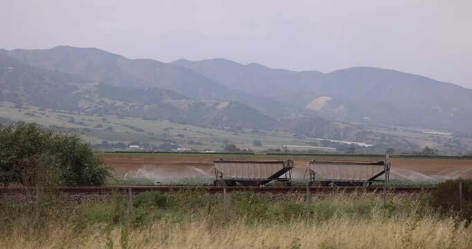 Water irrigates an artichoke field near downtown Chualar, California, USA.