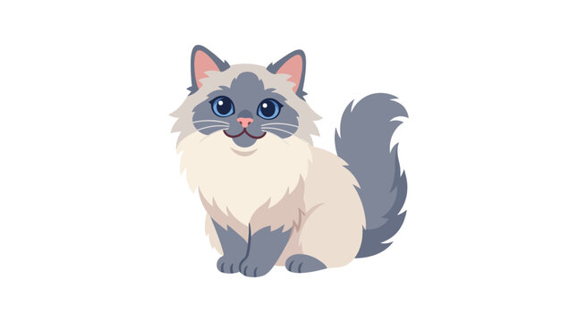Cute grey ragdoll cat with fluffy tail.