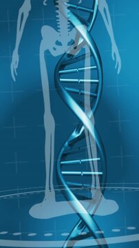 Dna structures spinning over medical data processing against blue background