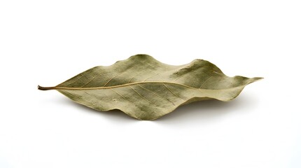 Fototapeta premium Single dried bay leaf on white background, aromatic culinary herb for seasoning and flavor