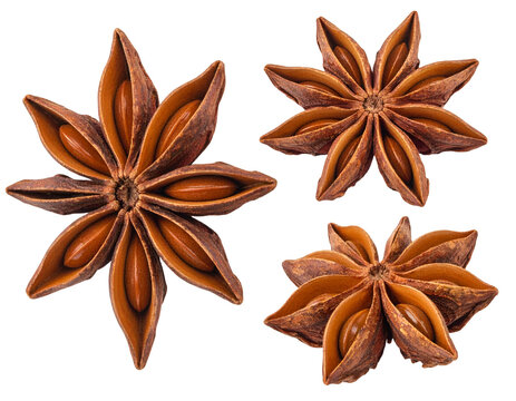 Star anise isolated on transparent background