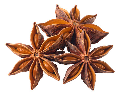 Star anise isolated on transparent background