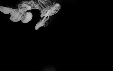 Wisps of white vapor float and drift in the darkness, creating a minimalist abstract composition against a deep black canvas. © Ahmad Khan