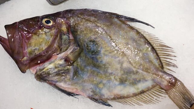 Whole John Dory fish displaying its distinctive shape and prominent spot, a premium seafood choice on display at a market