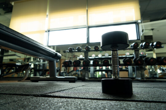 Set of dumbbells of various weights neatly arranged on rack in modern gym, organized strength training equipment storage solution for fitness center, weight room or professional workout space