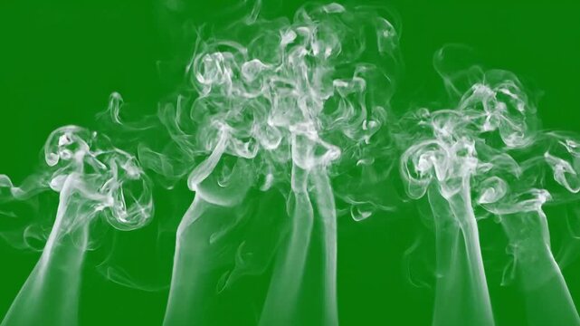 Realistic White Smoke Rising Steam Fog Plume Effect on Green Screen Background 4K Stock Footage for Video Editors Cinematic VFX Mist Vapor Atmosphere Overlay Transition Animation Cigarette Burn Flow