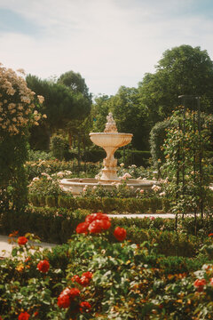 Beautiful fountain surrounded by blooming red roses in El Retiro Park Madrid