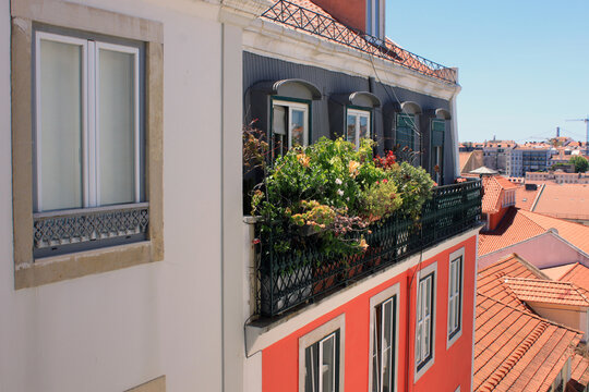 Charming Balcony Filled with Plants and Flowers on Historic Residential Facade Overlooking Red Clay Tile Roofs in Alfama District Lisbon, Traditional Portuguese Architecture Concept in Portugal