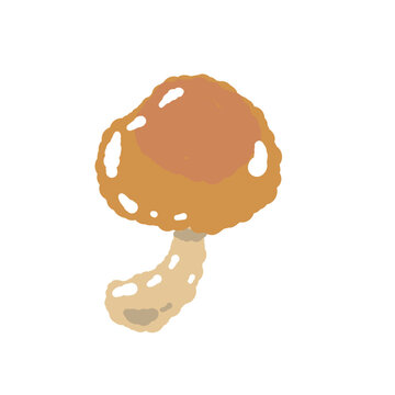 Single Nameko Mushroom Front View Hand Drawn Illustration