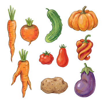 Rustic hand-drawn whole vegetables, highlighting natural shapes and organic farm produce for healthy living.