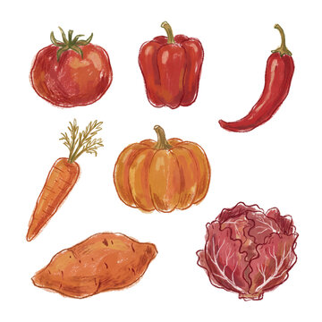 Vibrant hand-drawn red and orange vegetables including pumpkin, carrot, and chili on transparent background.