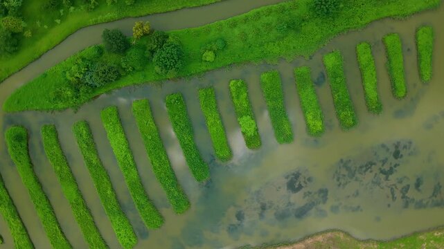Aerial View of Cotai Ecological Reserve, Macau