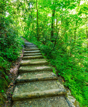 Wooden Step at Indian Creek Falls on The Deep Creek Waterfall Loop Trail, Great Smoky Mountains National Park, North Carolina, USA