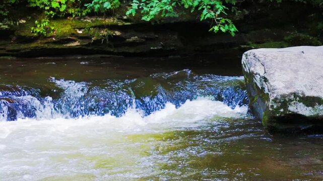 Small Cascades on Deep Creek Along The Deep Creek Waterfall Trail, Great Smoky Mountains National Park, North Carolina, USA