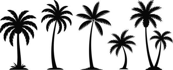 Fototapeta premium A collection of five black palm tree silhouettes in various sizes and shapes, isolated on a white background, for tropical themed, and nature projects