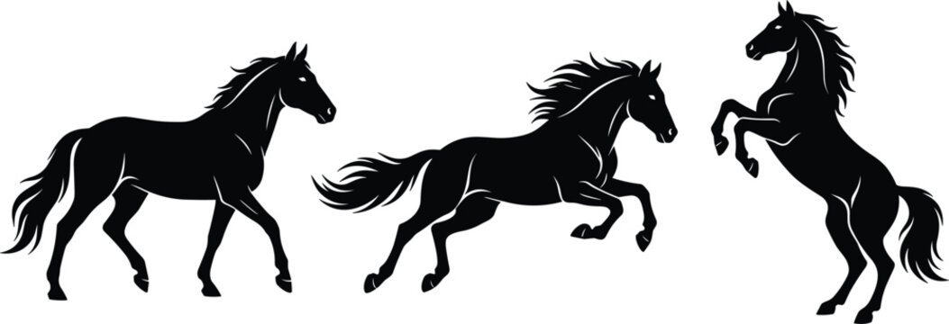 Majestic wild stallion horse vectors bundle highlighting diverse active movements walking trotting galloping and rearing postures