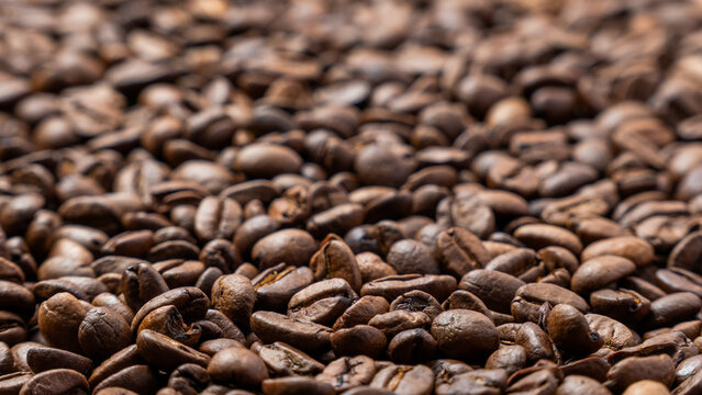 Close-up selective focus of roasted coffee beans spread out in a dense layer. Coffee roasting, espresso preparation, cafe culture concept.
