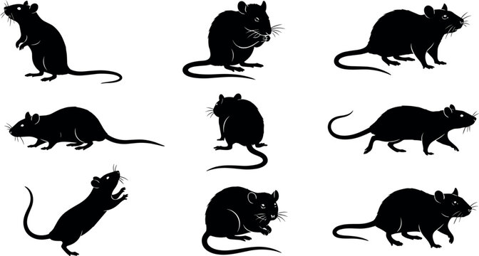 Set of black silhouette rat and mouse collection isolated on white background design element vector illustration