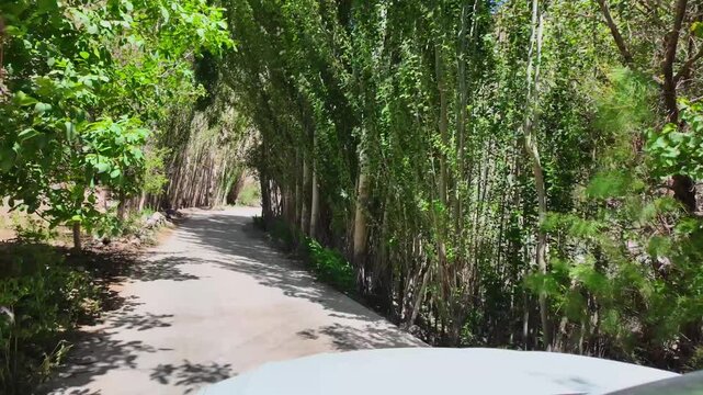 Love Tunnel on Tasha Ancient Road in Tar Township, Xinjiang