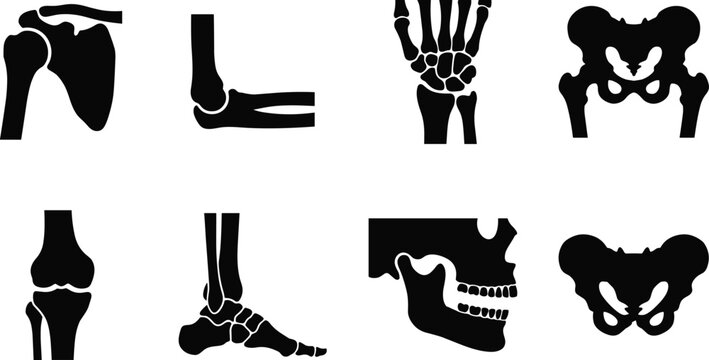 Human Bone Joint Anatomy Silhouette Collection Featuring Skeleton Parts for Medical Education