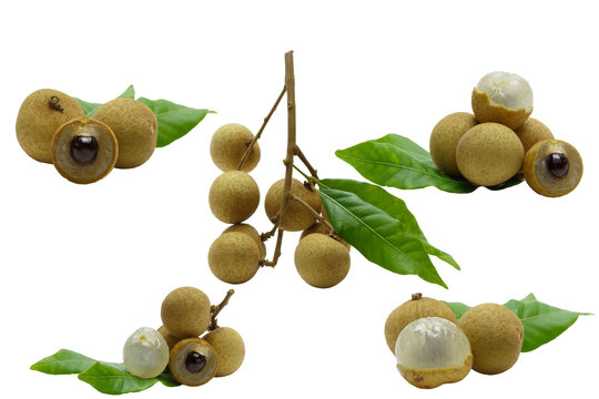 Ripe longan fruit fresh isolated on a white background.