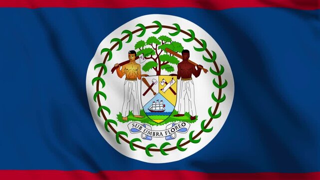 Belize waving flag animation loop, seamless and dynamic national flag motion