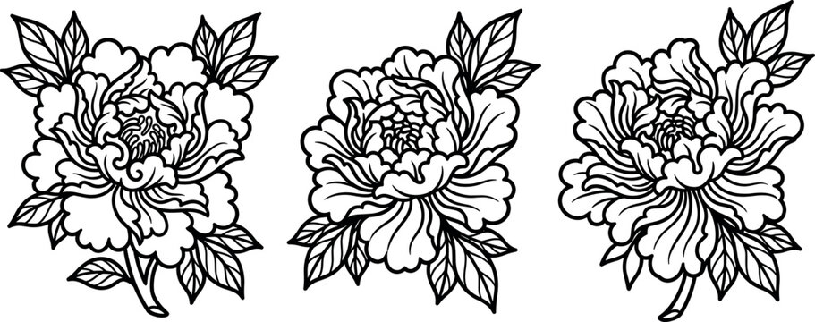 Japanese traditional tattoo style peony flower linear vector illustration set with black outline floral designs