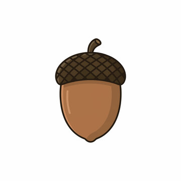 Charming vibrant cute brown acorn vector icon with textured cap and stem isolated on clean white background for autumn seasonal greeting card designs and nature graphics.
