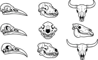 Naklejka premium Animal skull collection featuring bull crow wolf and horse skeletons for vintage gothic design elements