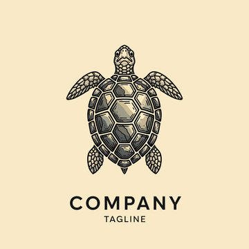 Sea turtle logo design showcases a detailed, textured shell pattern with the word 'COMPANY' in bold and 'TAGLINE' below, set against a solid light beige background, evoking a sense of heritage.